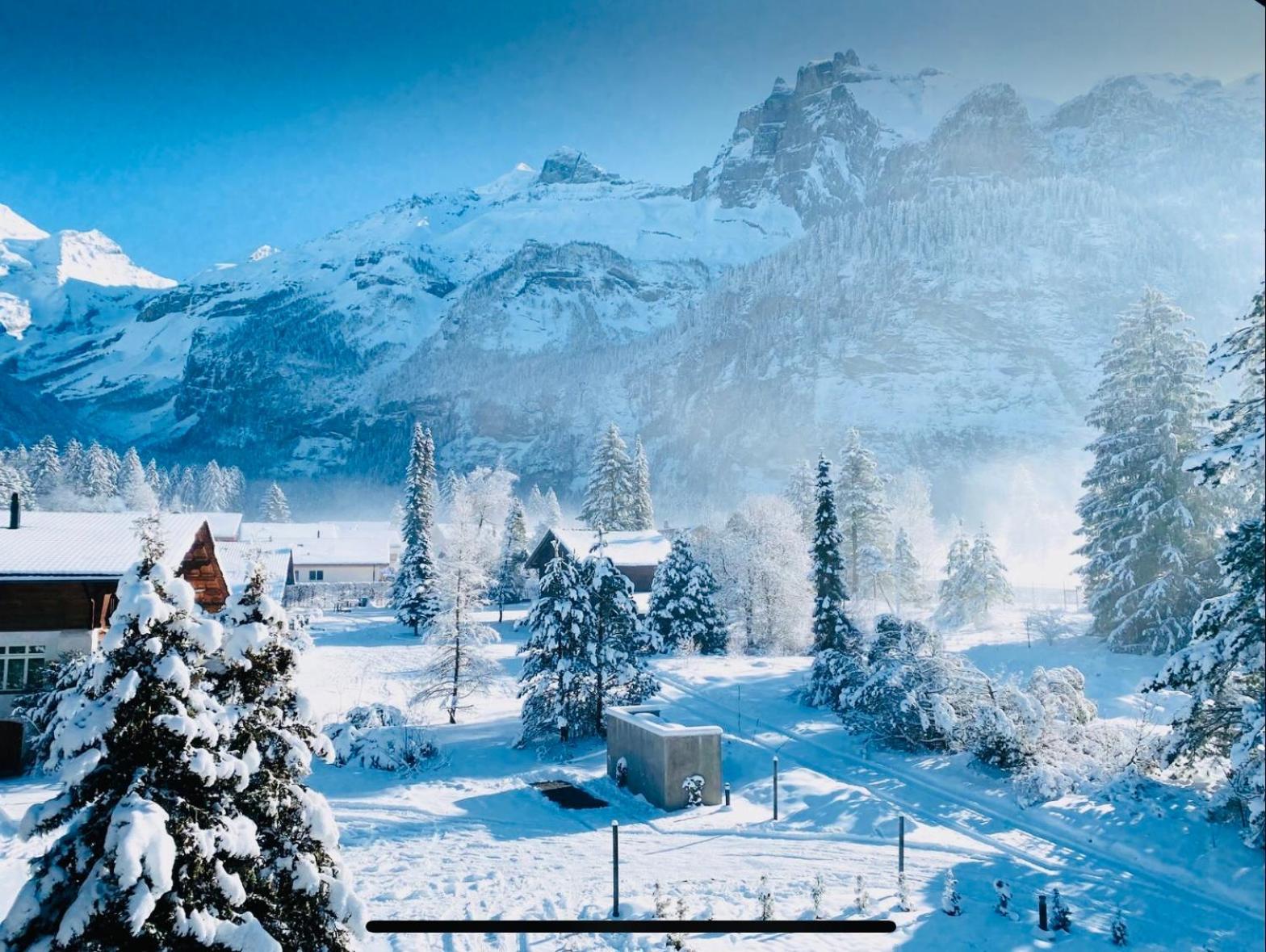 Cute & Cozy Oasis, Private Afternoon Sun Terrace Apartment Kandersteg Luaran gambar