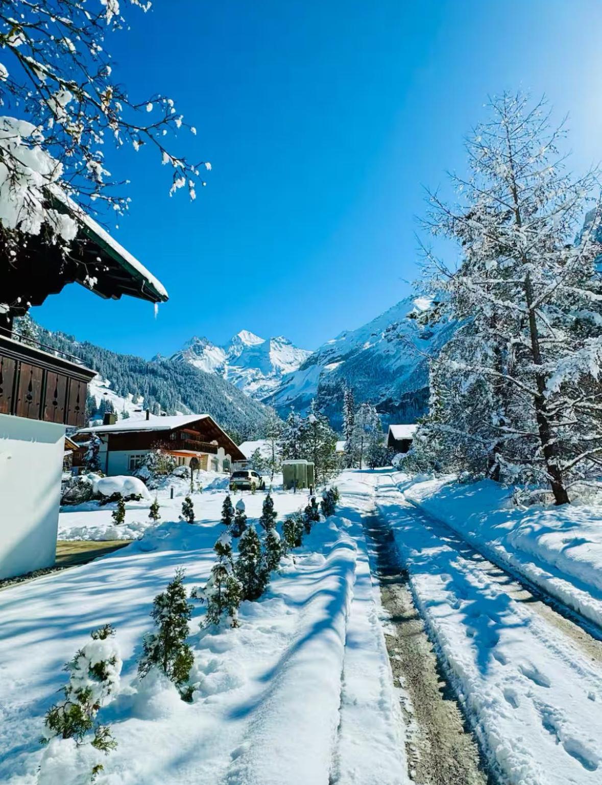 Cute & Cozy Oasis, Private Afternoon Sun Terrace Apartment Kandersteg Luaran gambar